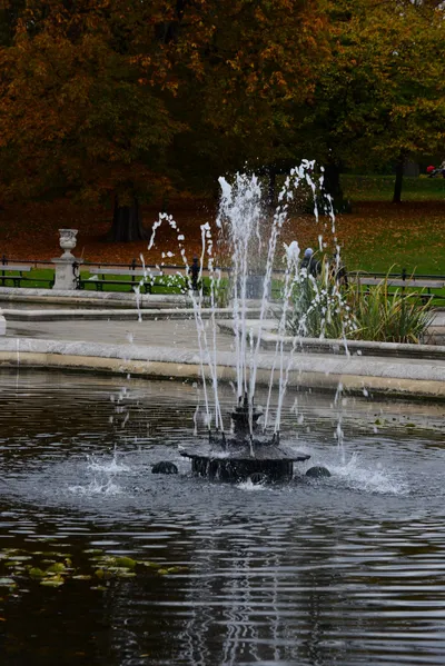 DSC_0540 (Large).JPG